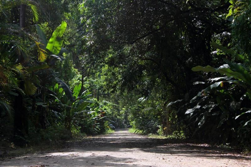 Mambuca Village Ubatuba Exteriér fotografie